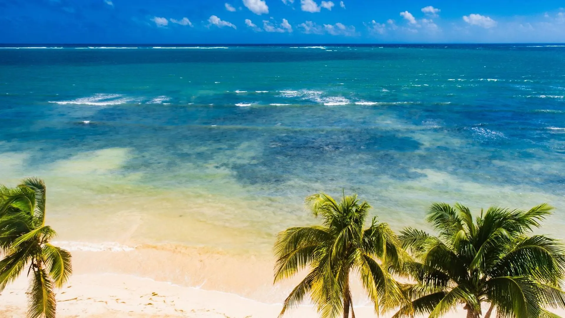 Palmar Beach Resort And Spa Riviera Maya Puerto Morelos